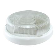 Светильник НПП 03-100-015.01 УХЛ4 «Рондо» TDM