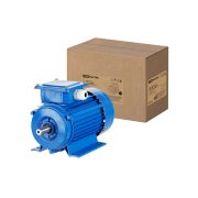Электродвигатель АИР 56А2 3ф 0,18 кВт 3000 об/мин 1081 TDM