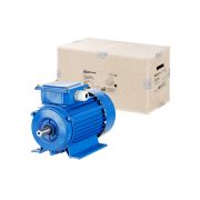 Электродвигатель АИР 90L6 3ф 1.5 кВт 1000 об/мин 1081 TDM