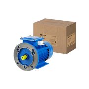 Электродвигатель АИР 71A4 3ф 0,55 кВт 1500 об/мин 2081 TDM