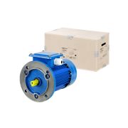 Электродвигатель АИР 100S4 3ф 3 кВт 1500 об/мин 3081 TDM