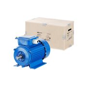 Электродвигатель АИР 90L2 3ф 3 кВт 3000 об/мин 1081 TDM