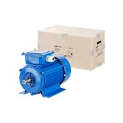 Электродвигатель АИР 100L2 3ф 5,5кВт 3000 об/мин 1081 TDM