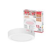 Светильник светодиодный накладной «Даунлайт НАРОДНЫЙ» круг СПО (белый) алюминий 12Вт 3000К