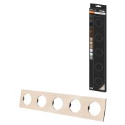 Рамка пятипостовая шампань, алюминий, шлифованный, «Байкал» TDM